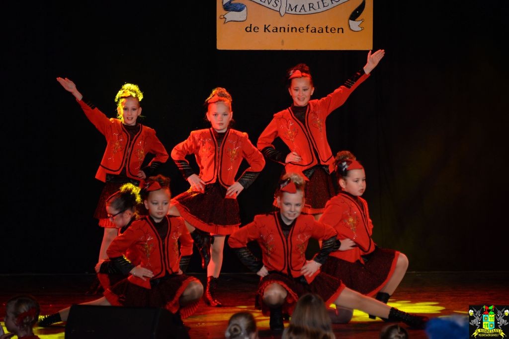 ../Images/Dansmarieke festival 2018 162.jpg